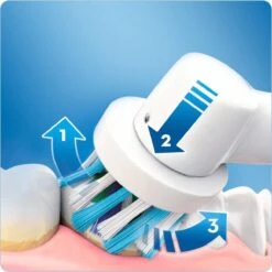Oral B -Oral B 1198x1200 2